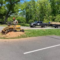 Lot clearing project in progress
