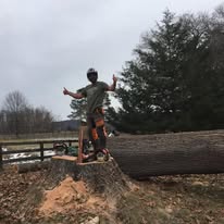 Professional arborist with felled tree trunk