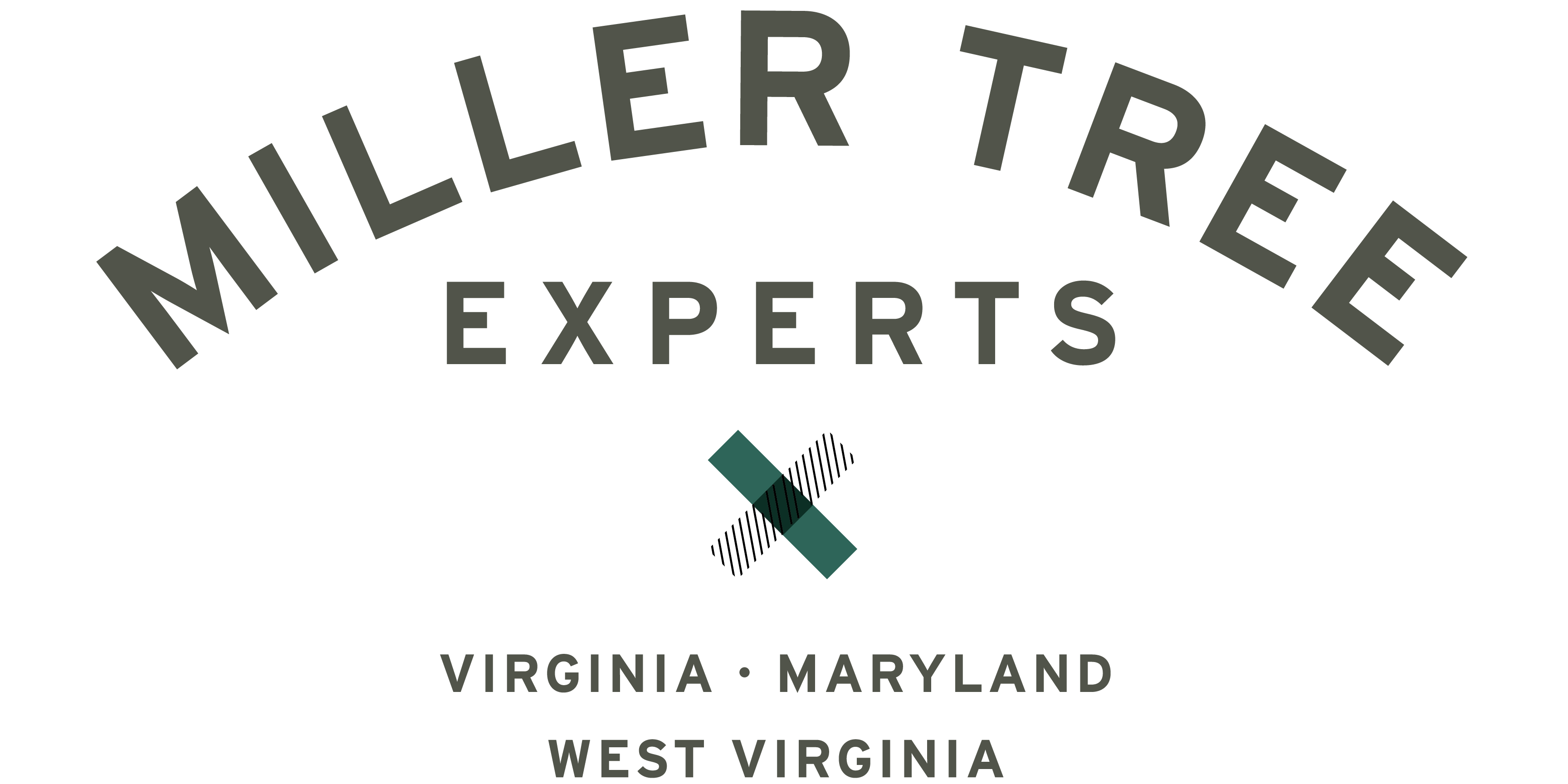 Miller Tree Experts logo