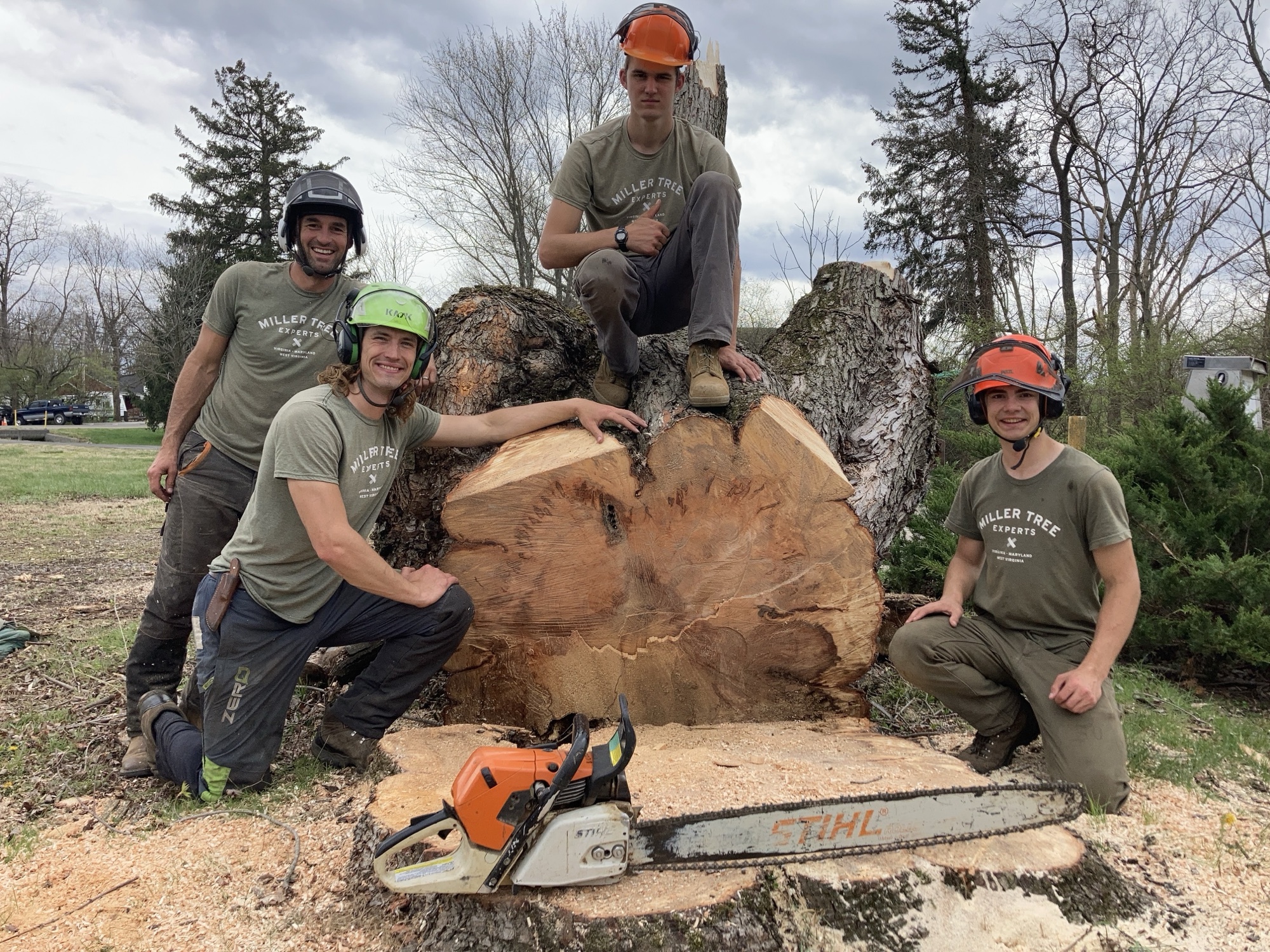 The Miller Tree Experts crew at a job site in Virginia