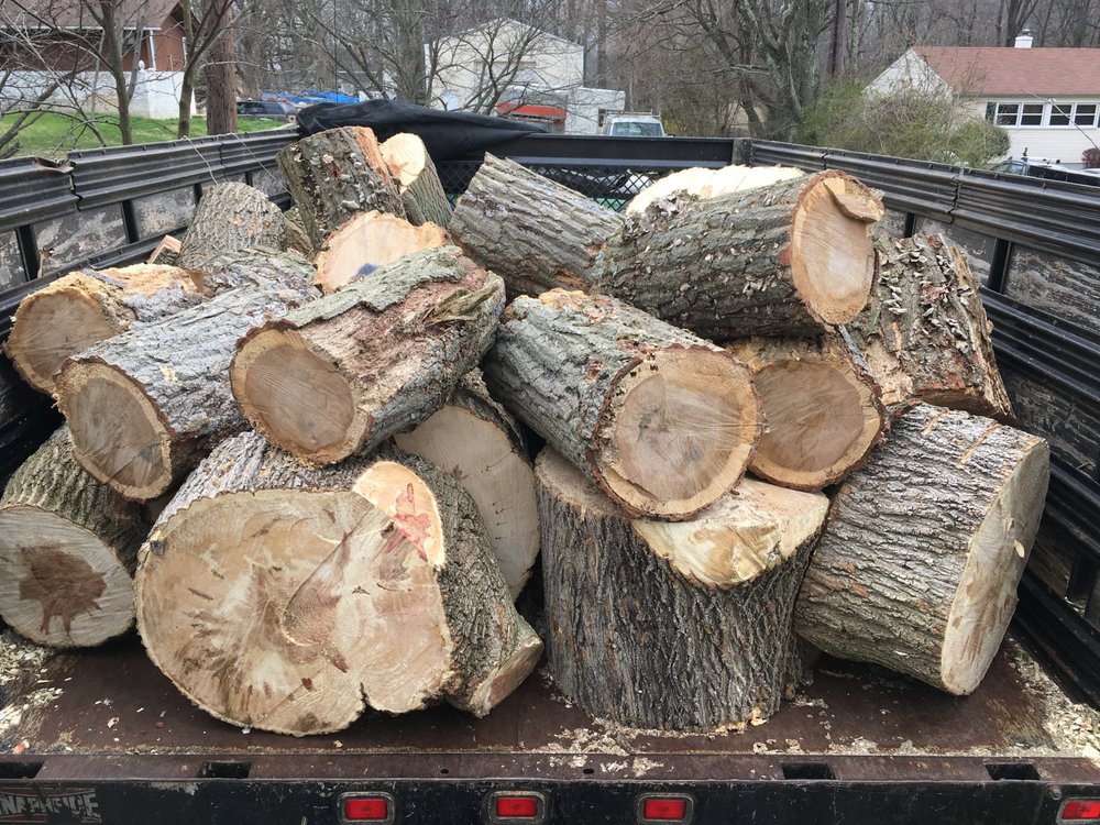 Tree trimming and pruning service by Miller Tree Experts