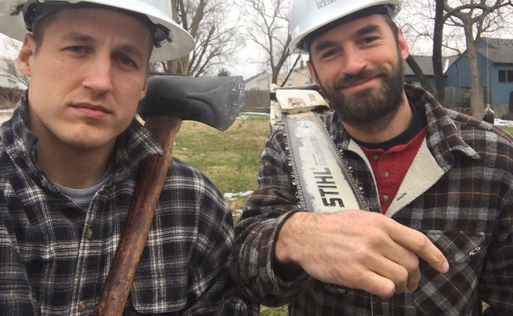 Clean property after professional tree care
