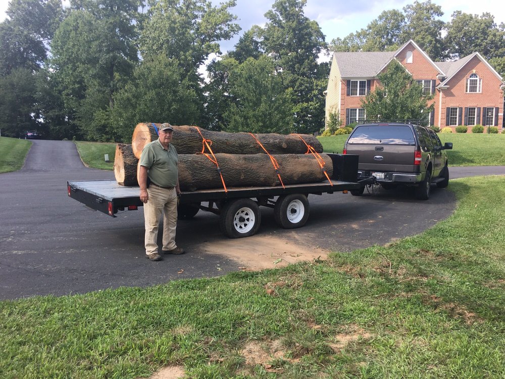 Property clean-up and debris removal service